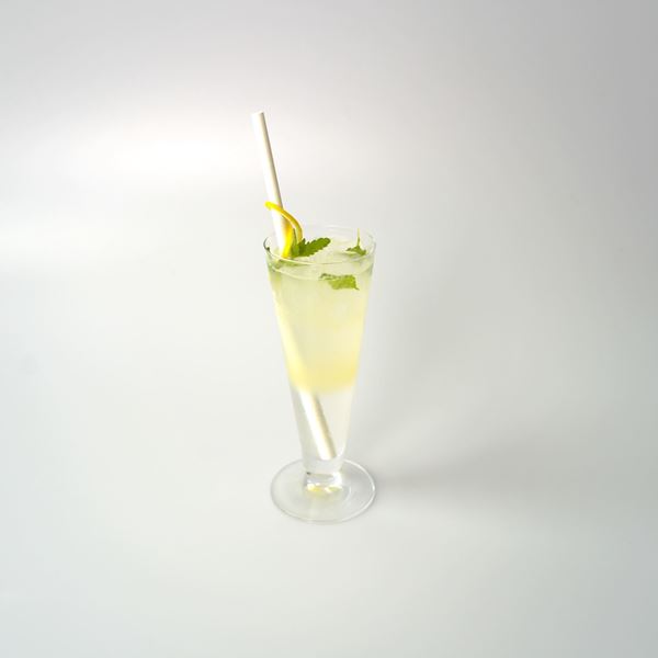 Obrázek z Mint Tonic